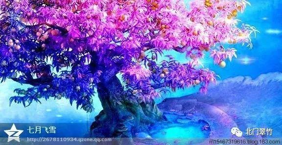 天津图书馆信息平台做好两会云服务